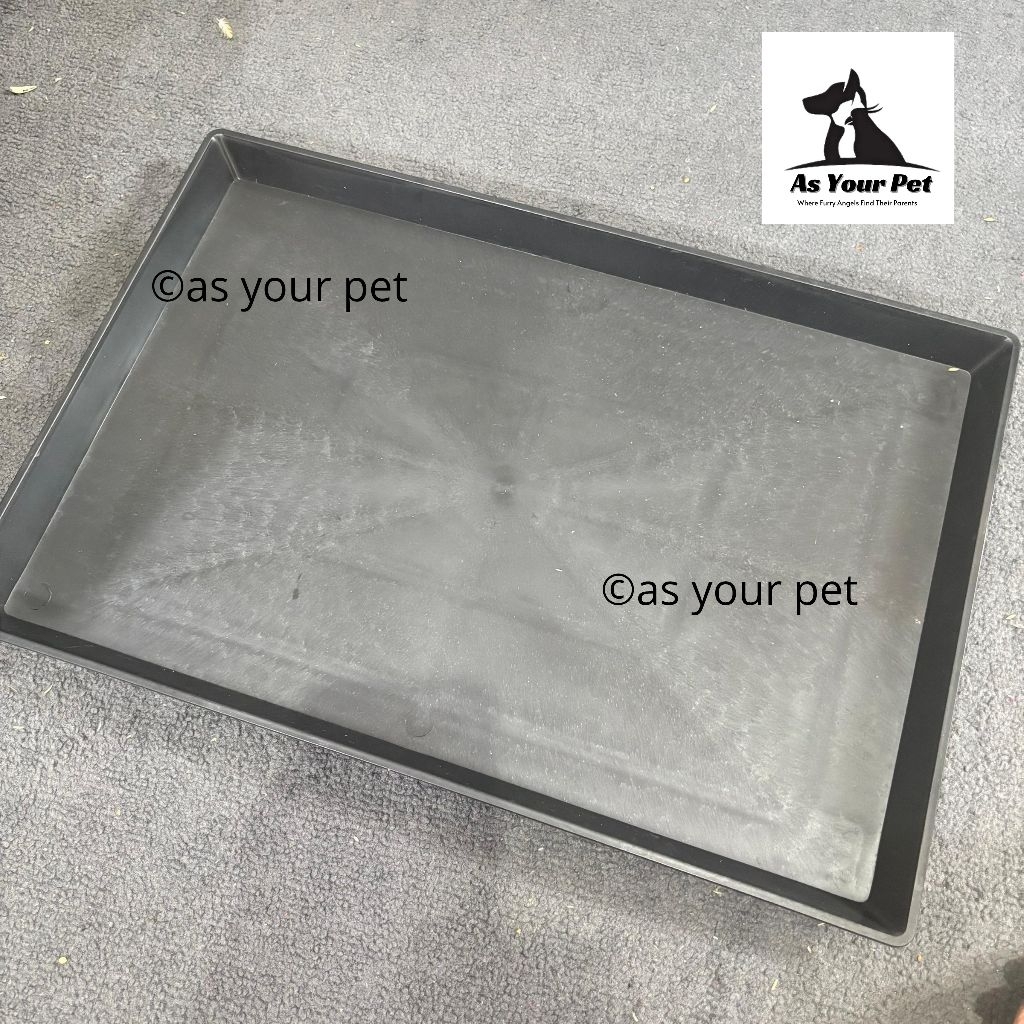 As Your Pet Tatakan Nampan Loyang Baki Tray Alas Plastik Tebal Premium Wadah Kotoran Kandang Kotak