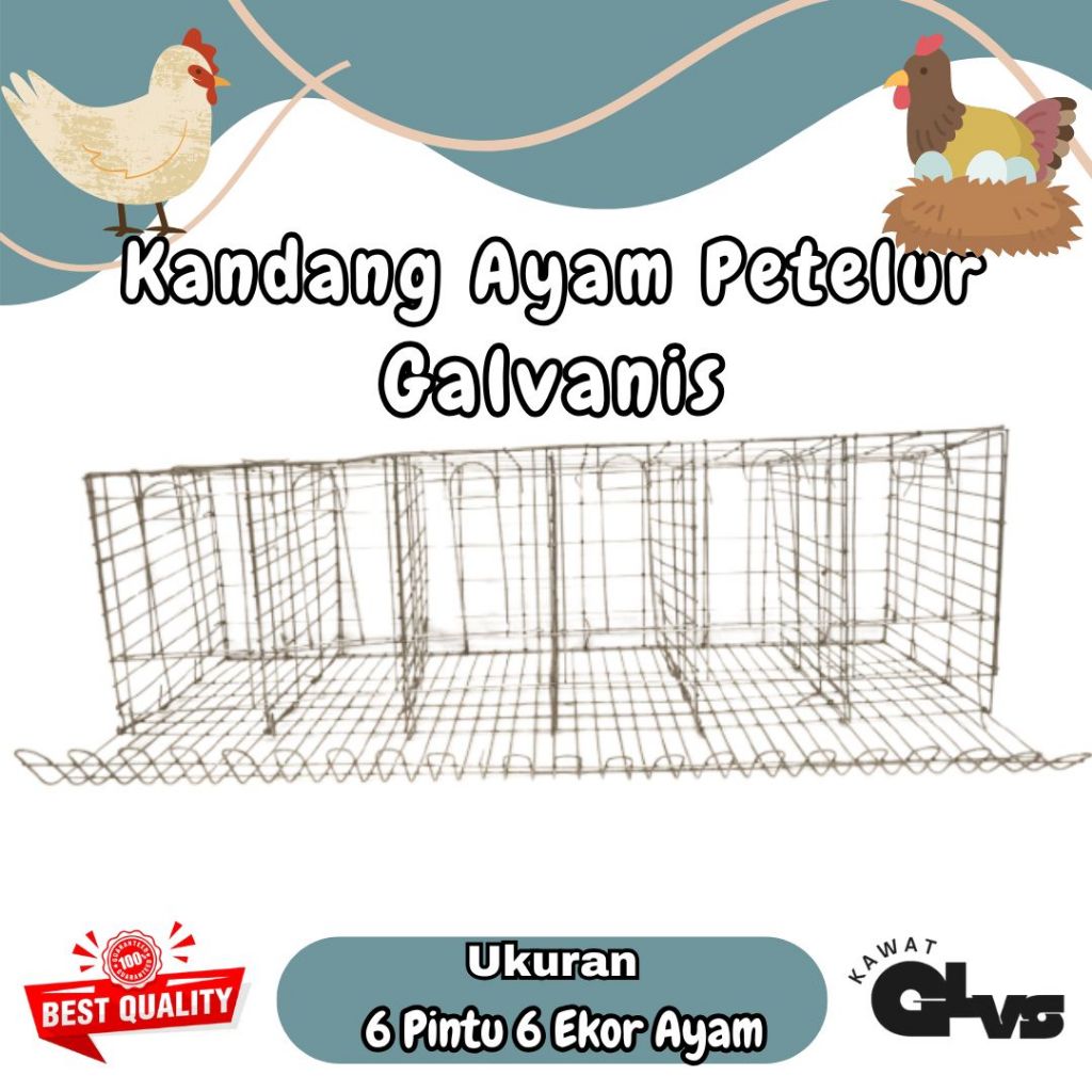 NEW Kandang Ayam Petelur 6 Pintu / Kandang Baterai 6 Pintu / Kandang Ayam / Kandang Ayam Galvanis