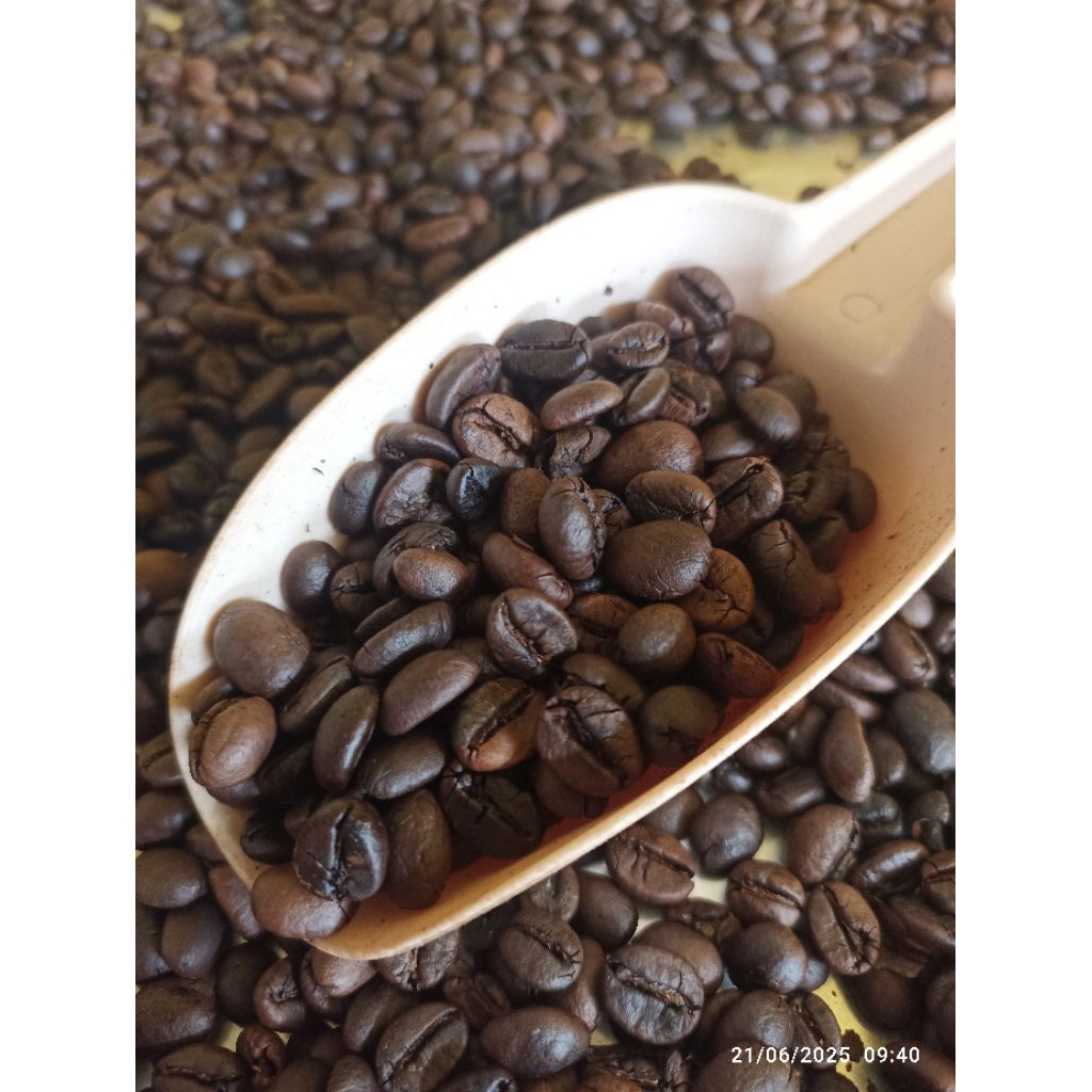 

biji kopi sangrai 5 kg murah lampung