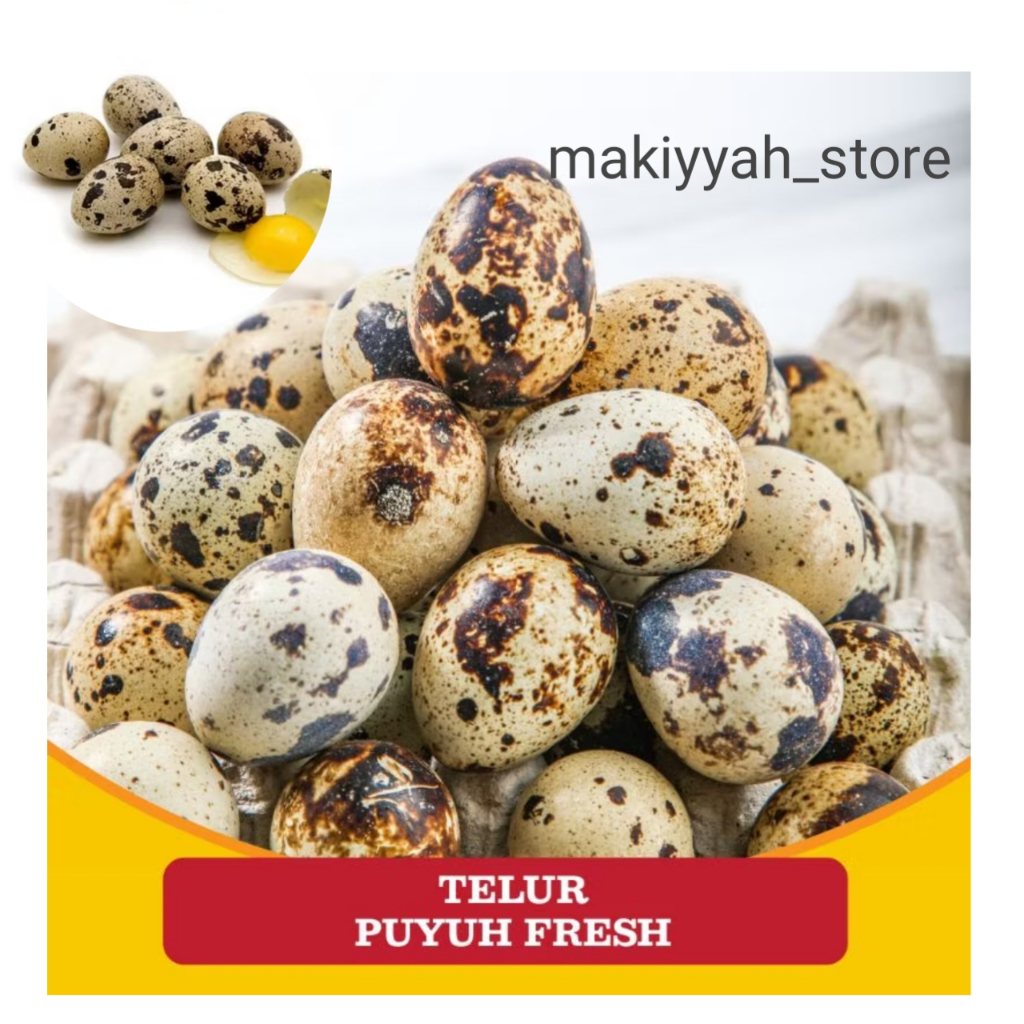 Telur puyuh fresh 1 kg lezat dan bergizi (mentah)