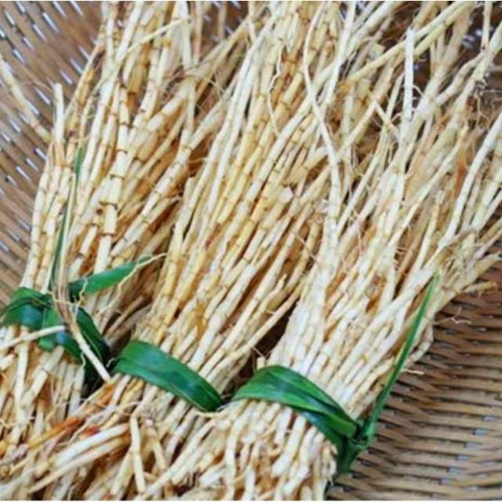 

Akar Alang-Alang Segar Asli Baru Dipetik 100gr