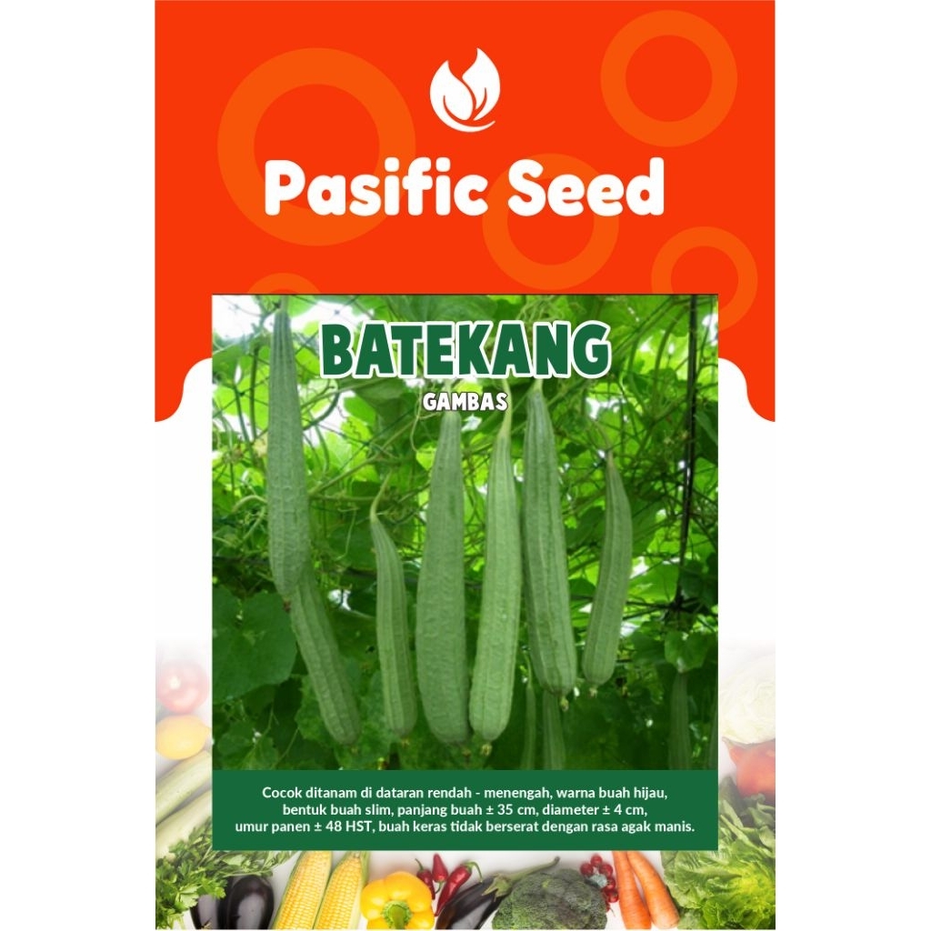

Benih Gambas Batekang 10 gram