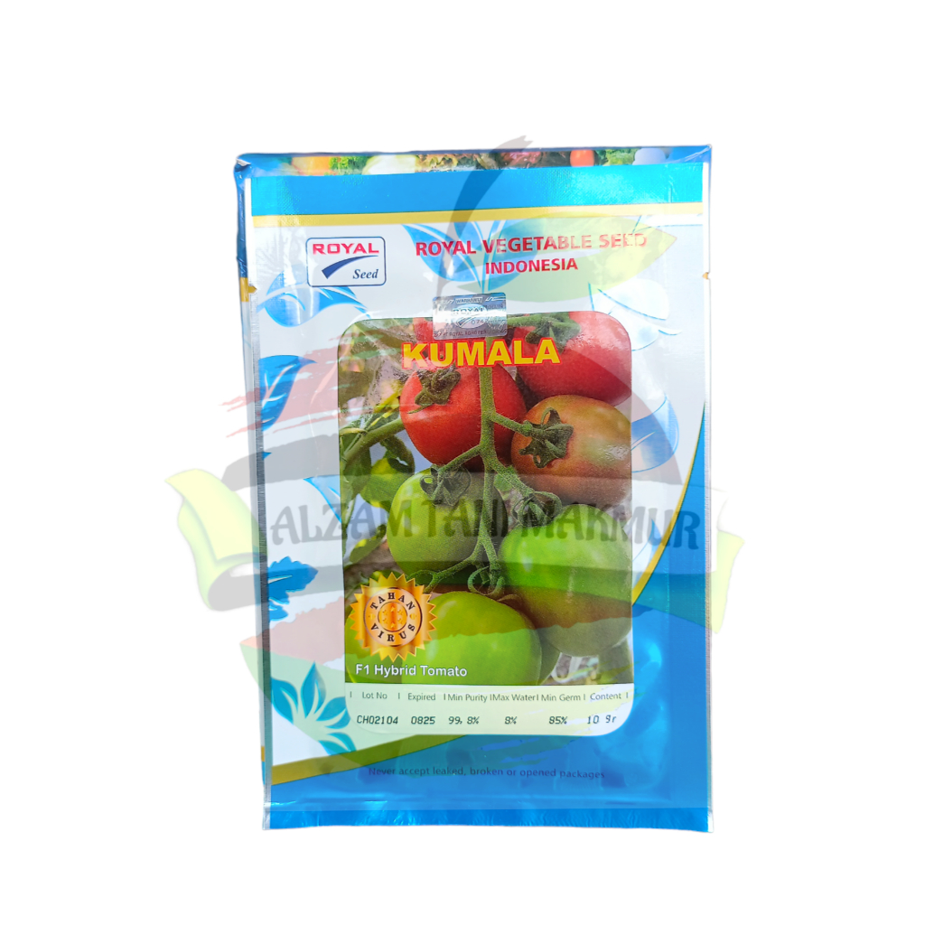Benih Tomat KUMALA F1 isi 10 Gram ROYAL SEED