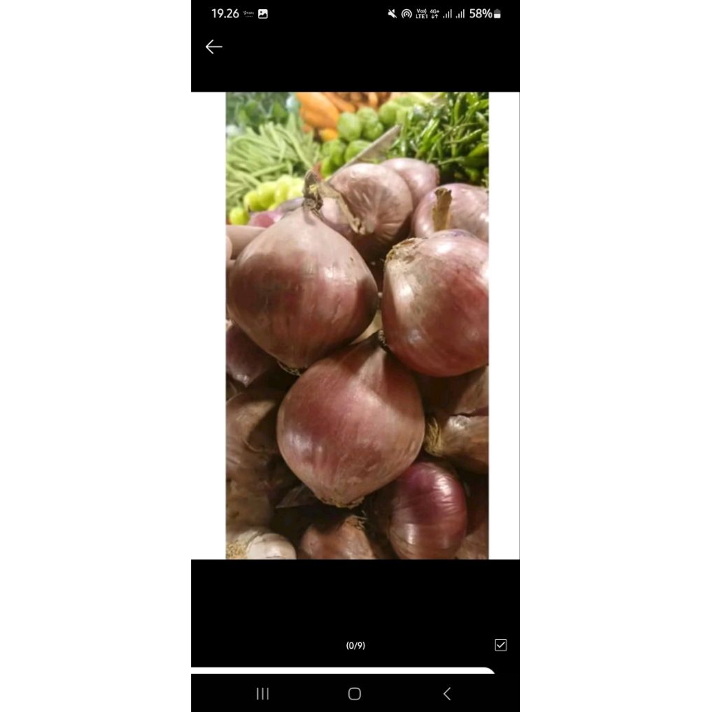 

bombay merah promo hari ini 1 kg