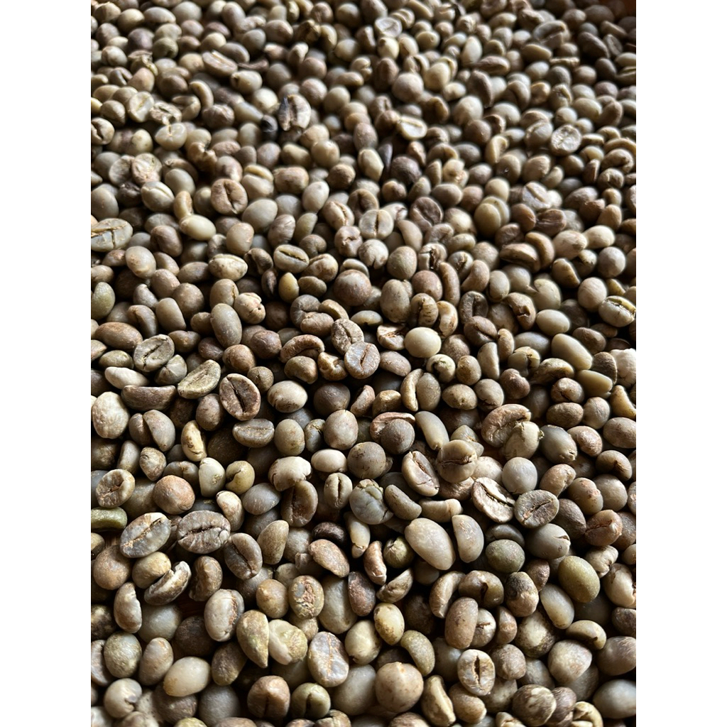 

Kopi Robusta Green Bean Coffee Java ( Kopi Mentah Ekonomis ) 1Kg