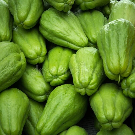 

Labu Siam Fresh Kecil Rasa Enak Manis Ciwidey