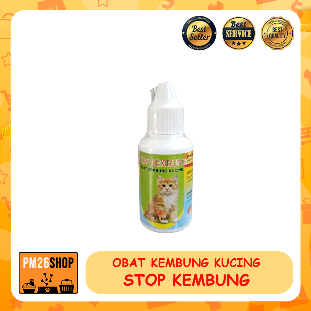 STOP KEMBUNG Obat Kembung Untuk Kucing