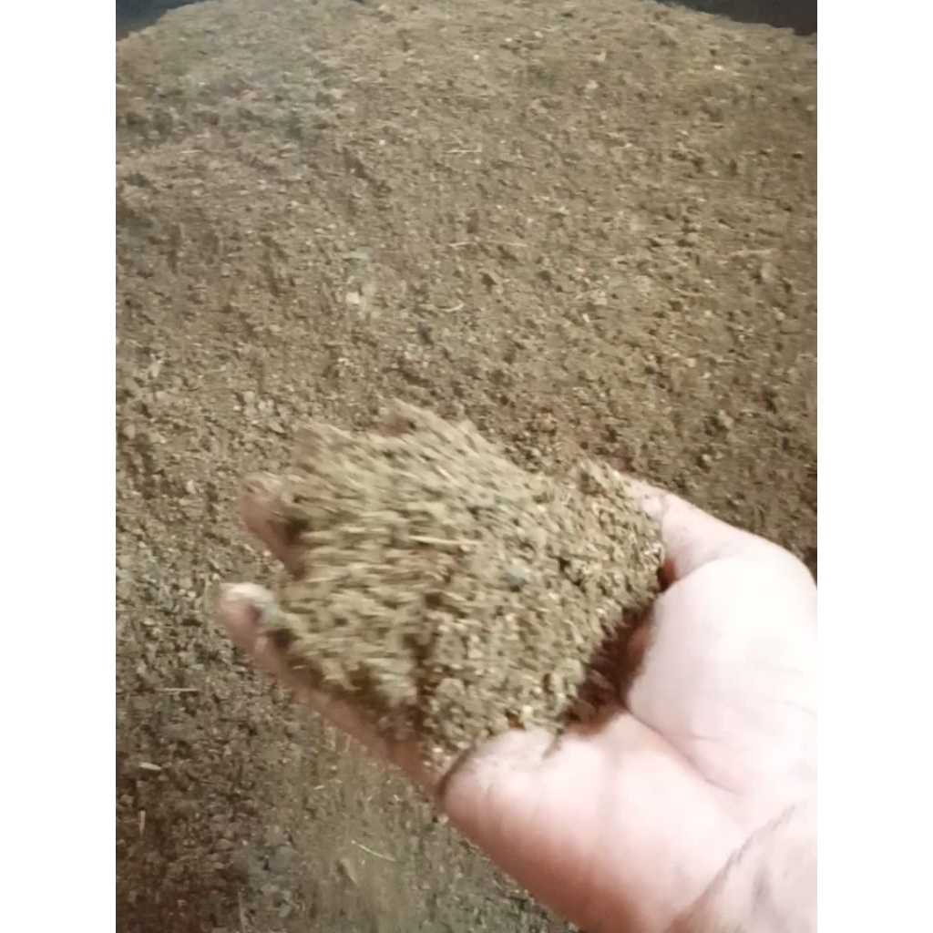 Kohe kambing gilingan berat 10kg