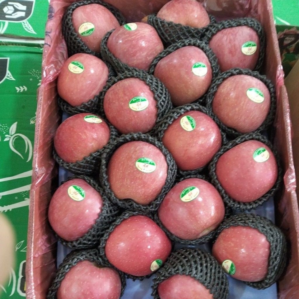 

Apel Fuji BB super manis & fresh 1kg