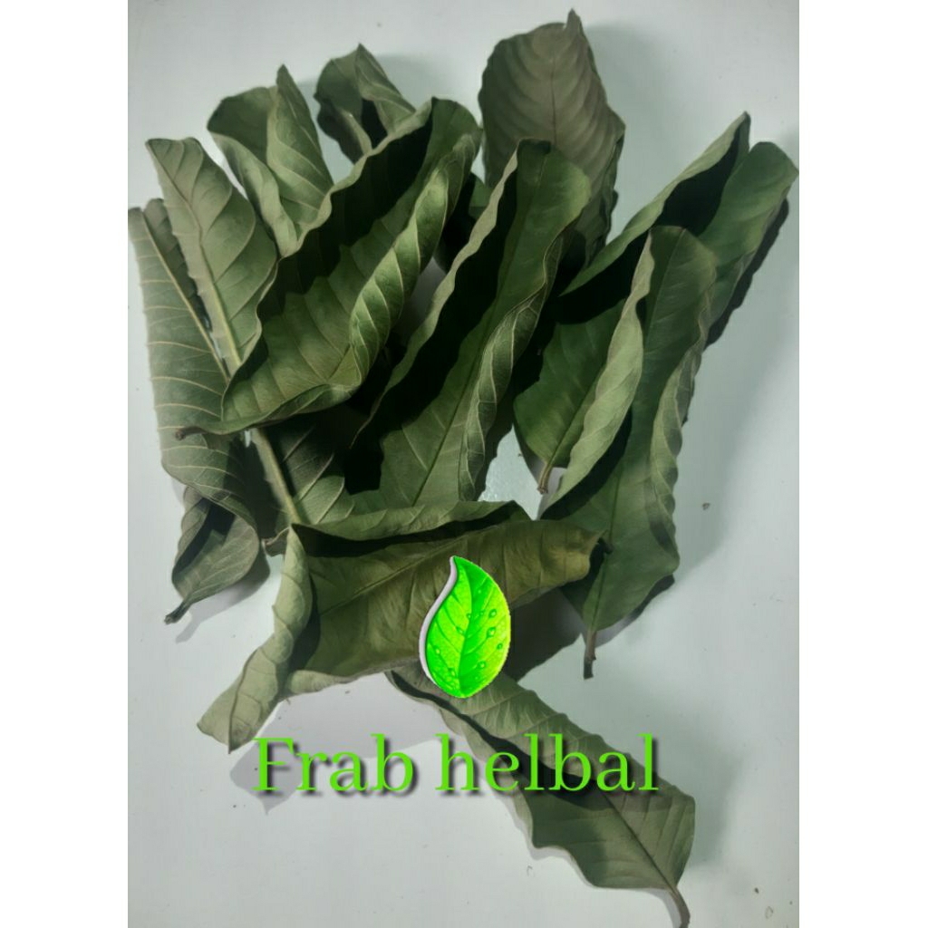 

daun jambu biji kering berkualitas