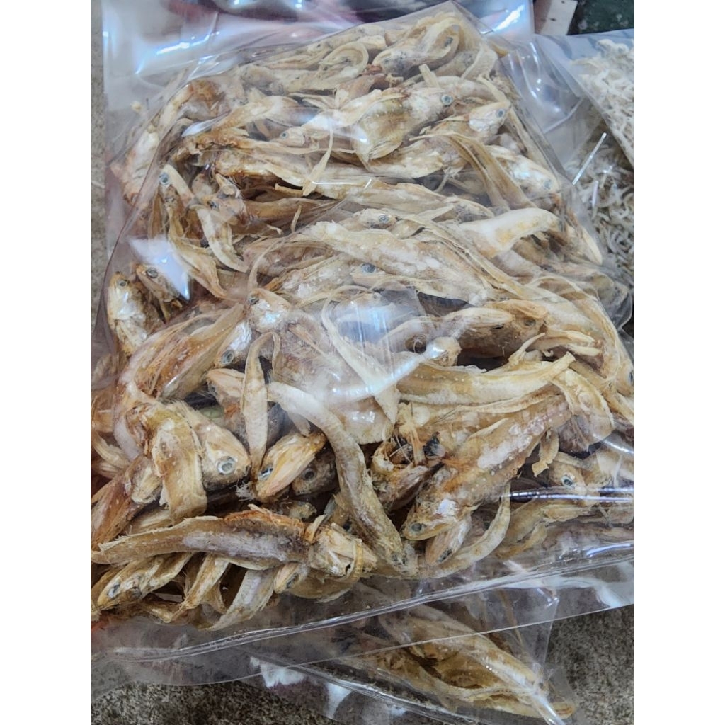 

Ikan bulu ayam tidak asin dari tanjung pinang