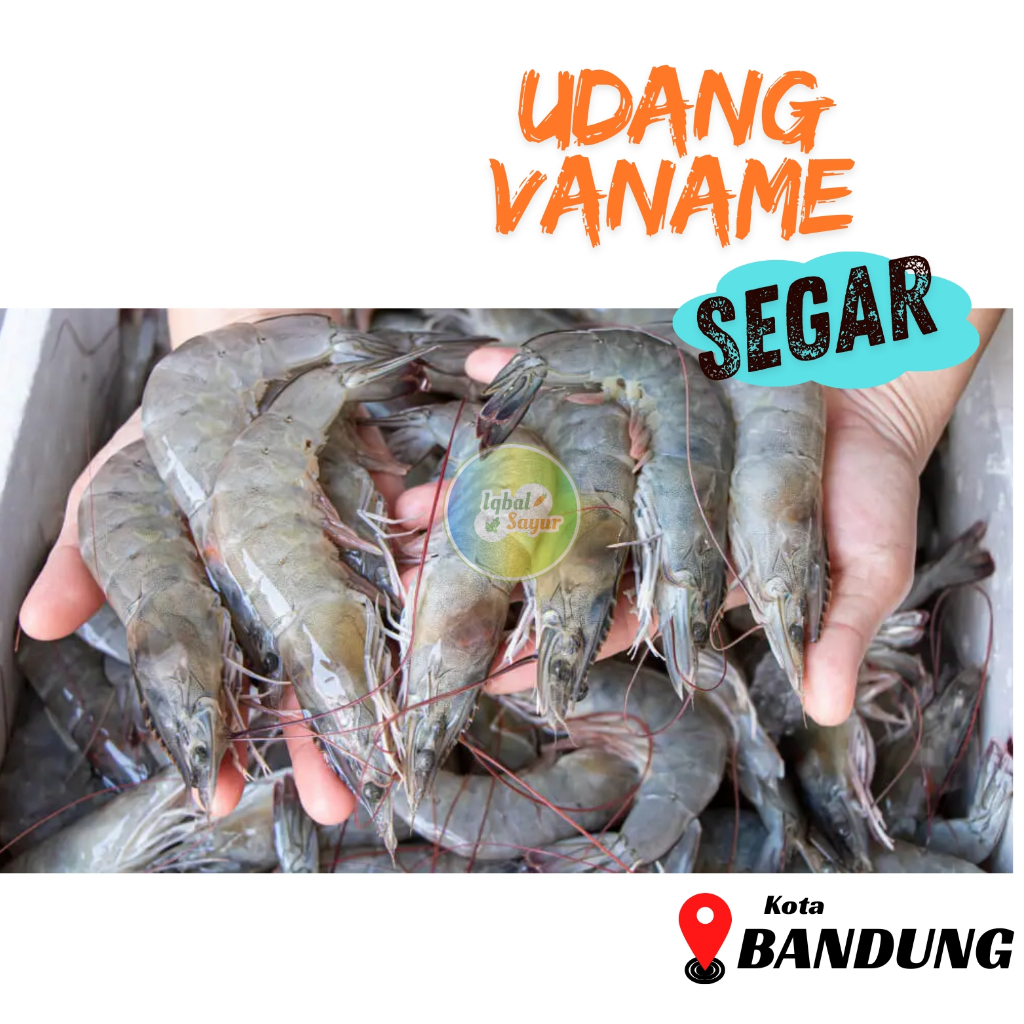 

Udang Vaname Segar 1/2 kg isi -+20 ekor Khusus Pesanan Malam