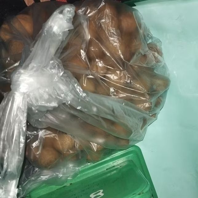 

Kelengkeng New Kristal