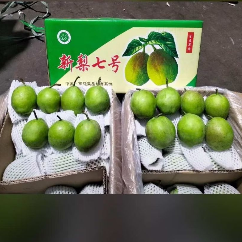 

Pear Xianglie Red /kg