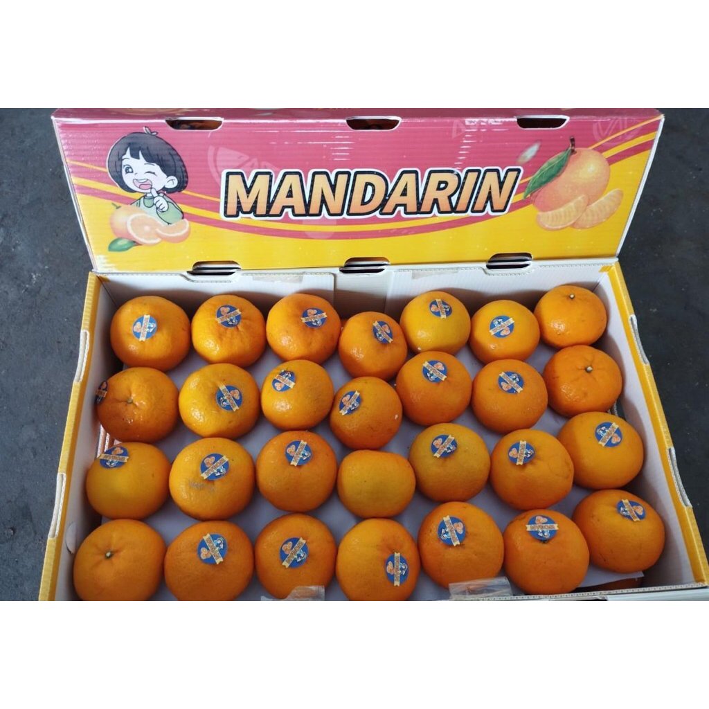 

Jeruk Wokam Mandarin Wonderfruit /kg