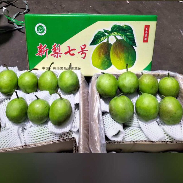

Pear Xianglie Red /kg