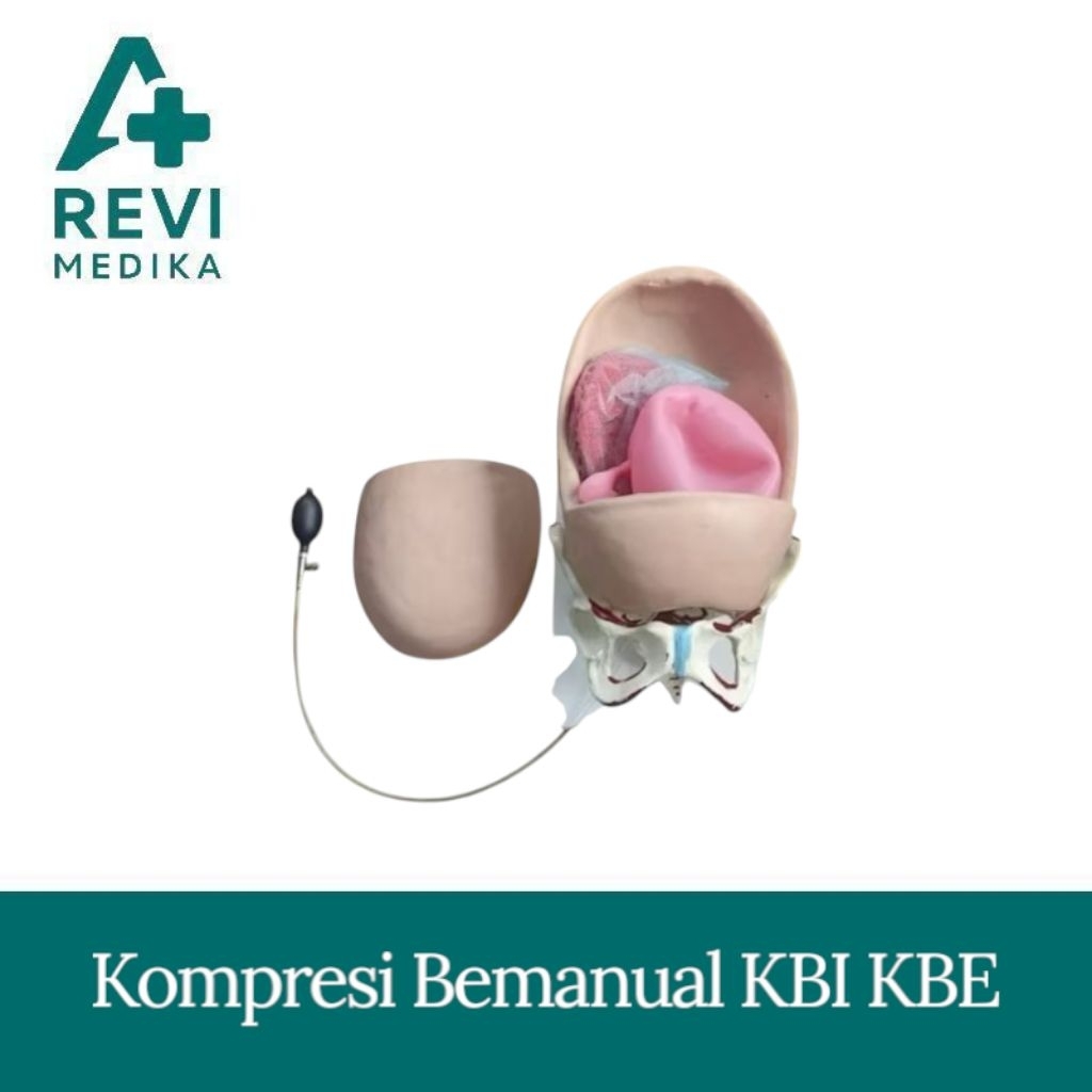 Phantom Manikin Kompresi Bemanual Kbi Kbe / Alat Peraga Manikin kompresi Bemanual Kbi Kbe