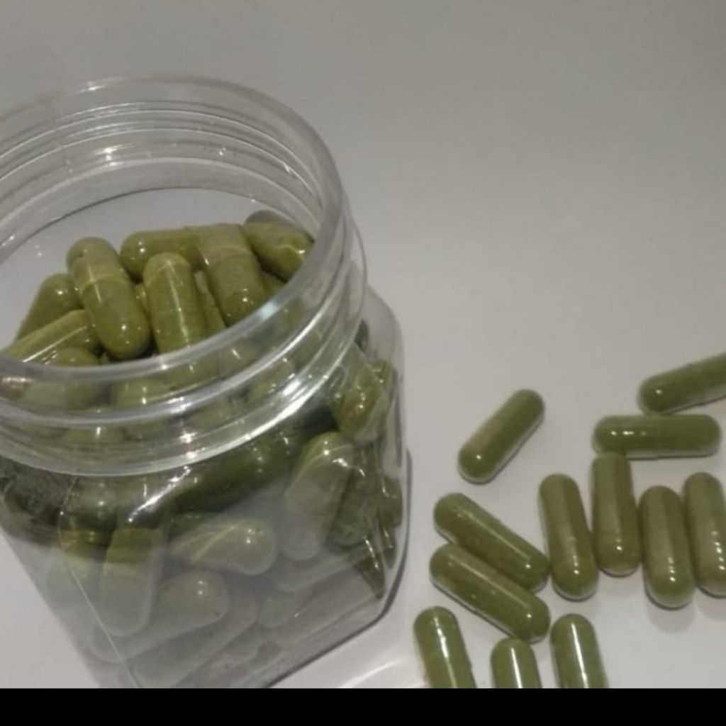 kapsul daun kelor 100 kapsul/100 butir