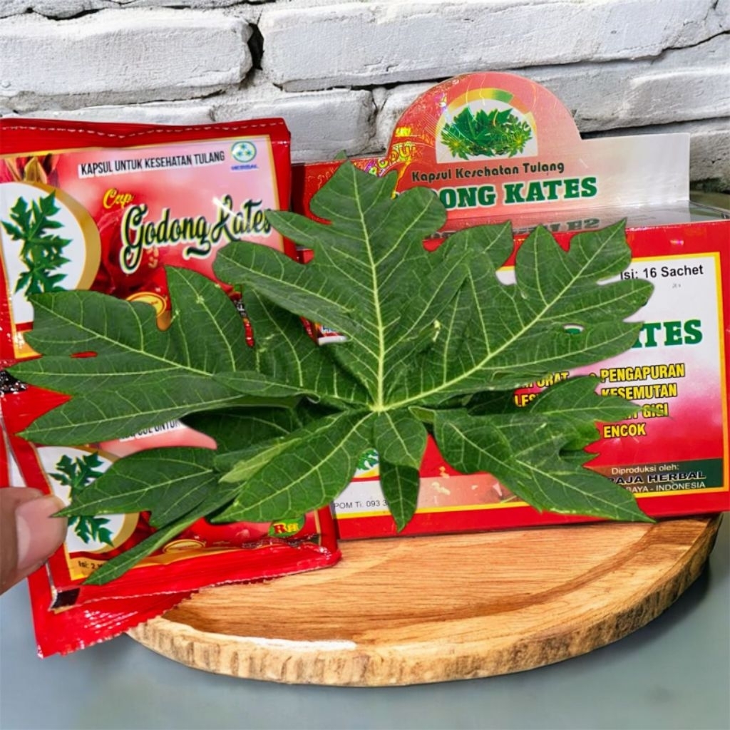 

herbal alami daun pepaya