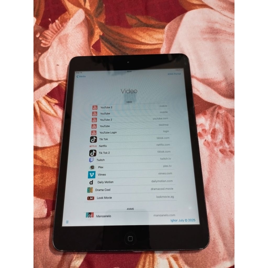 iPad mini gen 1 bypass iDNSPortal