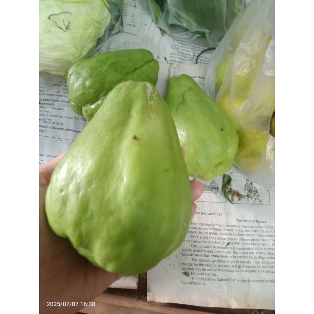 

LABU SIAM BESAR/1 BUAH LABU SIAM BESAR/SMBB/Sayurmayurbpkbaum