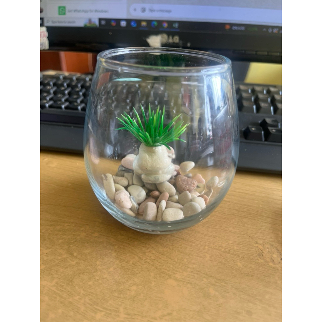 Aquarium Mini Bulat Aesthetic + Hiasan