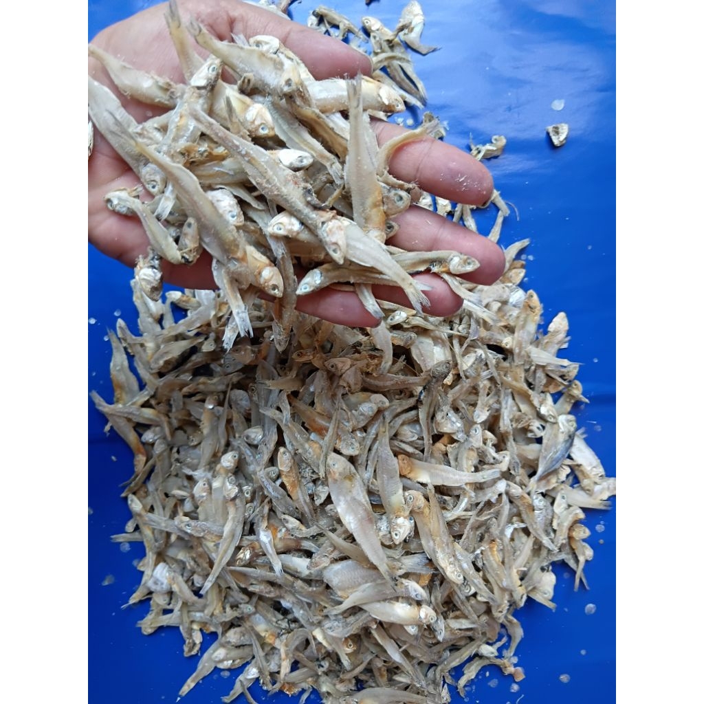 

1kg Ikan Asin Teri Daging Ikan Asin Teri Ceples