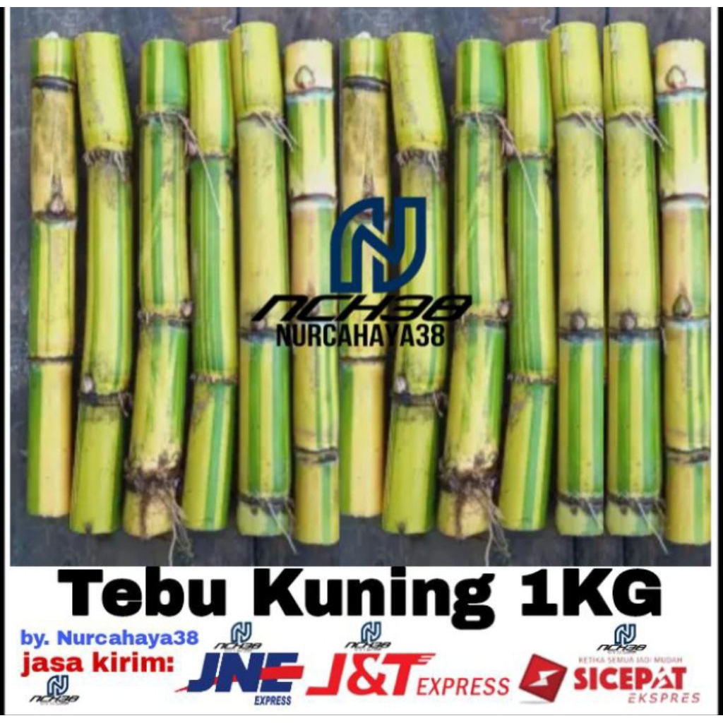 

TEBU KUNING MANIS 1KG