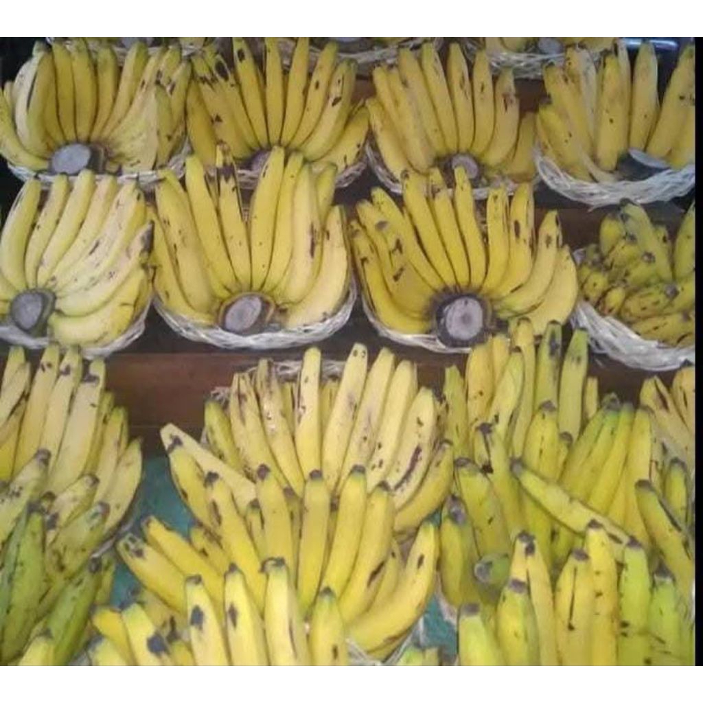 

Pisang Ambon 1lirang