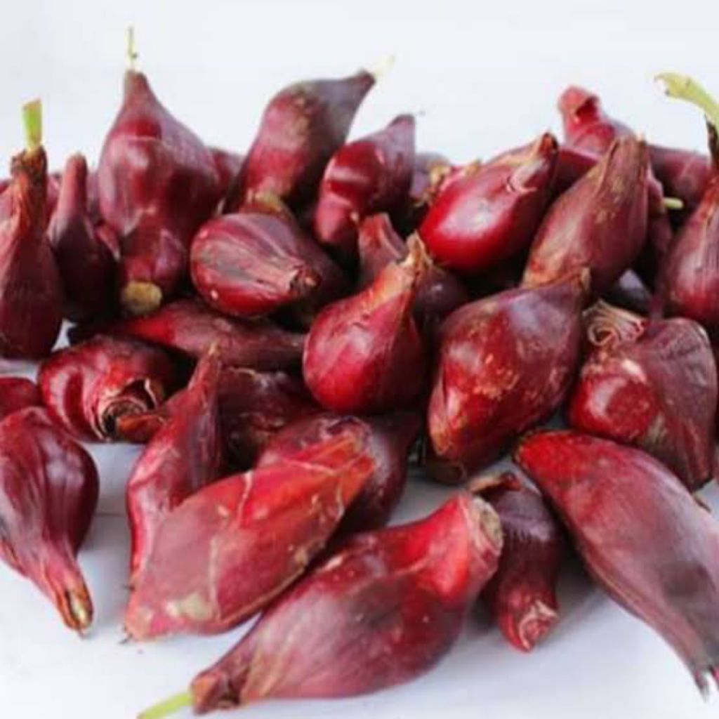 

Bawang Dayak Fres Segar 500 Gram