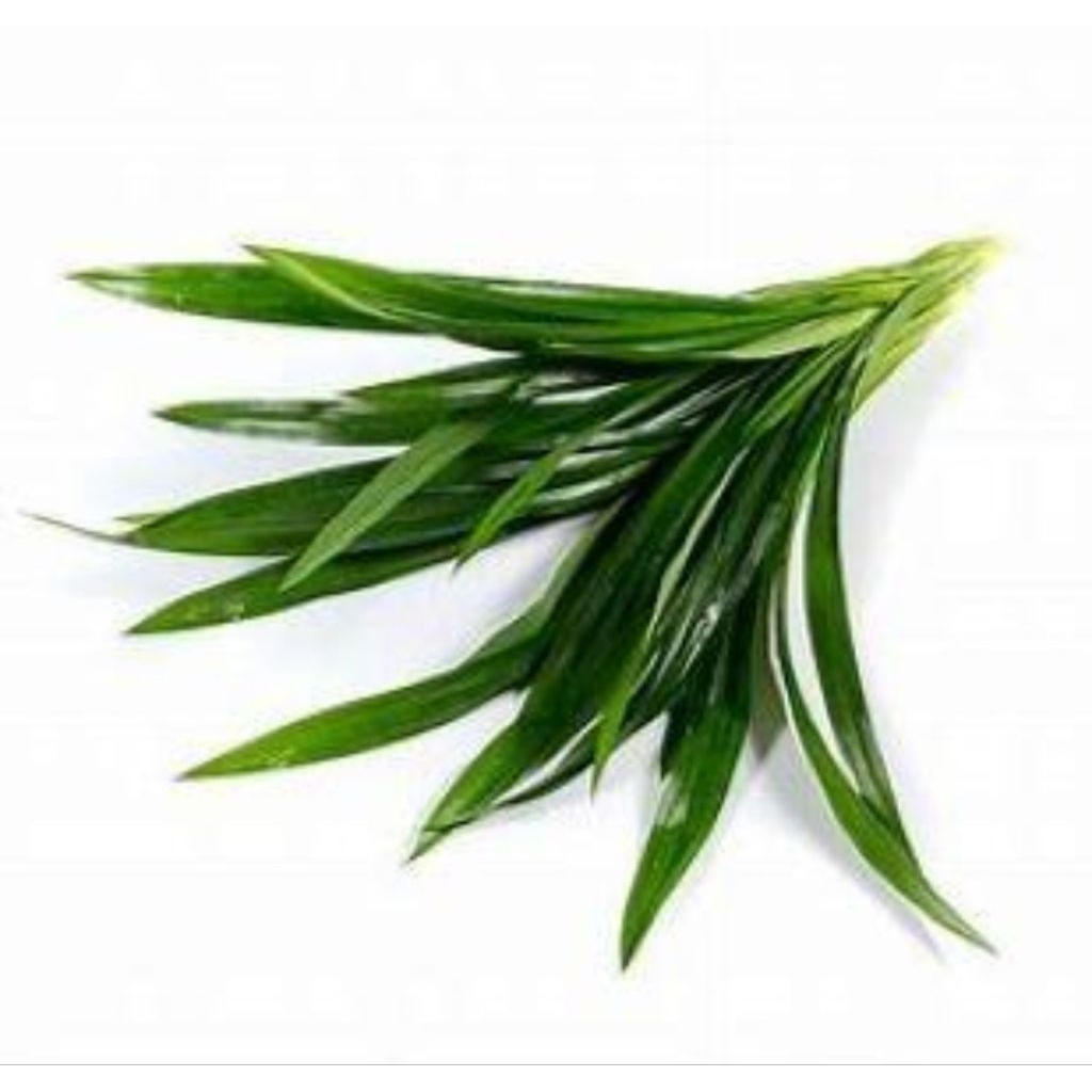 

Daun Pandan Wangi 3 Lembar