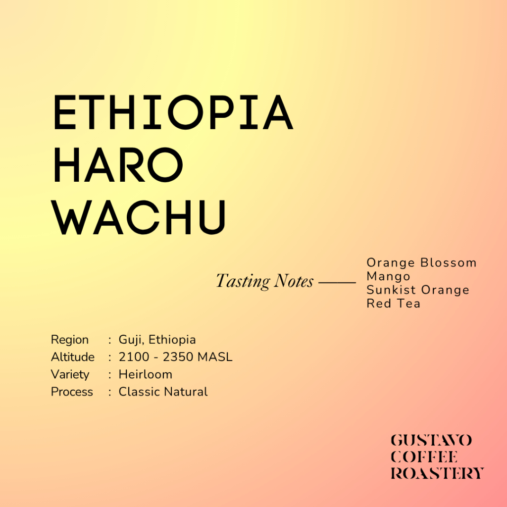 

Biji Kopi Arabika ETHIOPIA HARO WACHU CLASSIC NATURAL Single Origin Gustavo