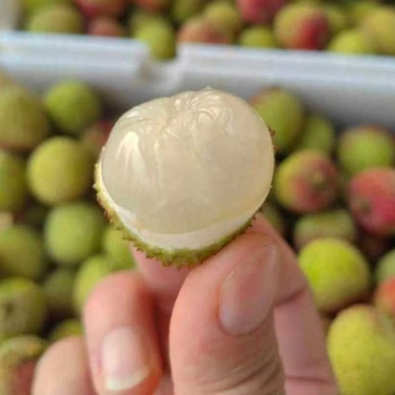 

LECI MADU 500G