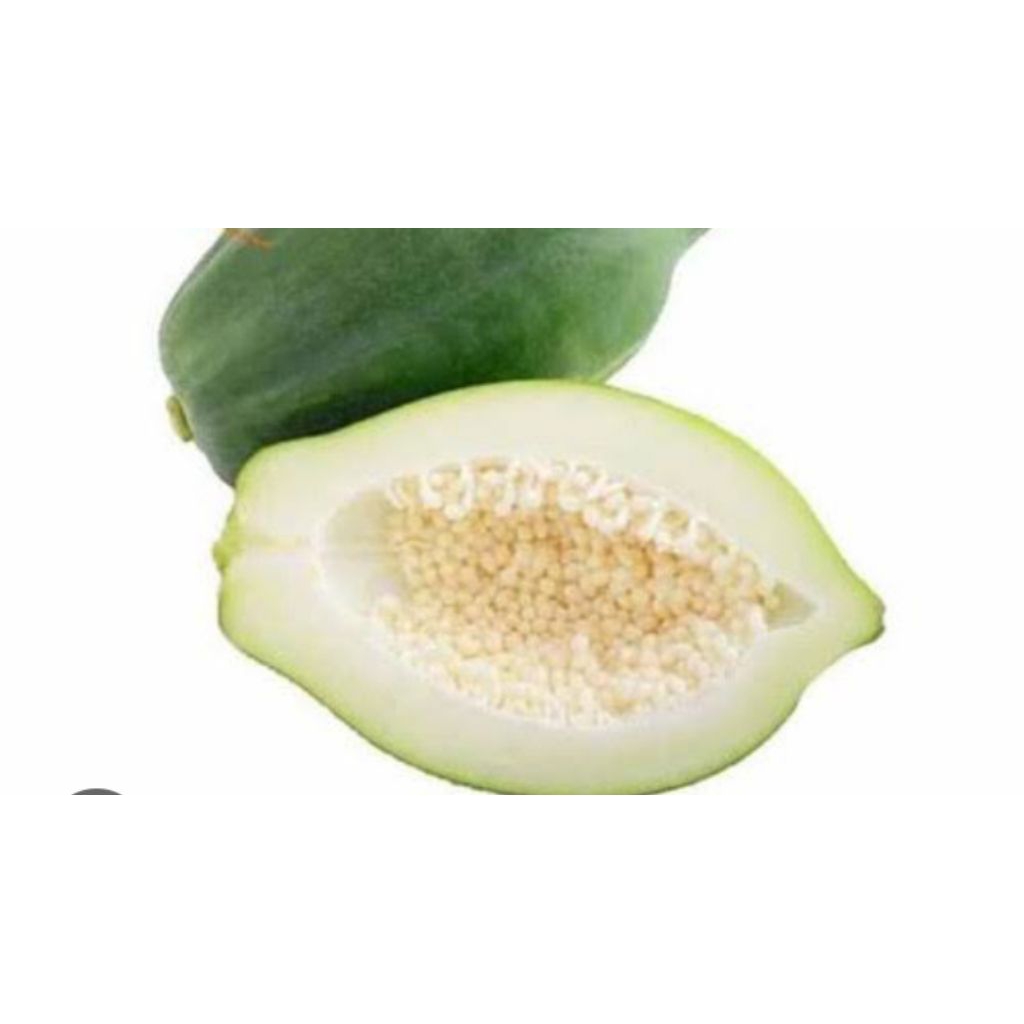 

pepaya muda termurah Fress baru petik