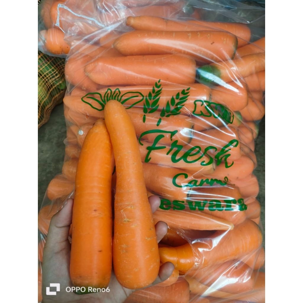 

Wortel buah // Wortel fresh