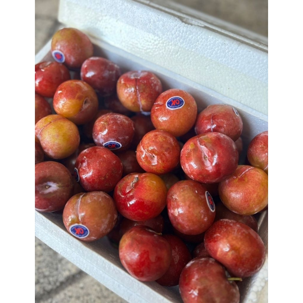 

Plum RRT 1 dus 4 kg