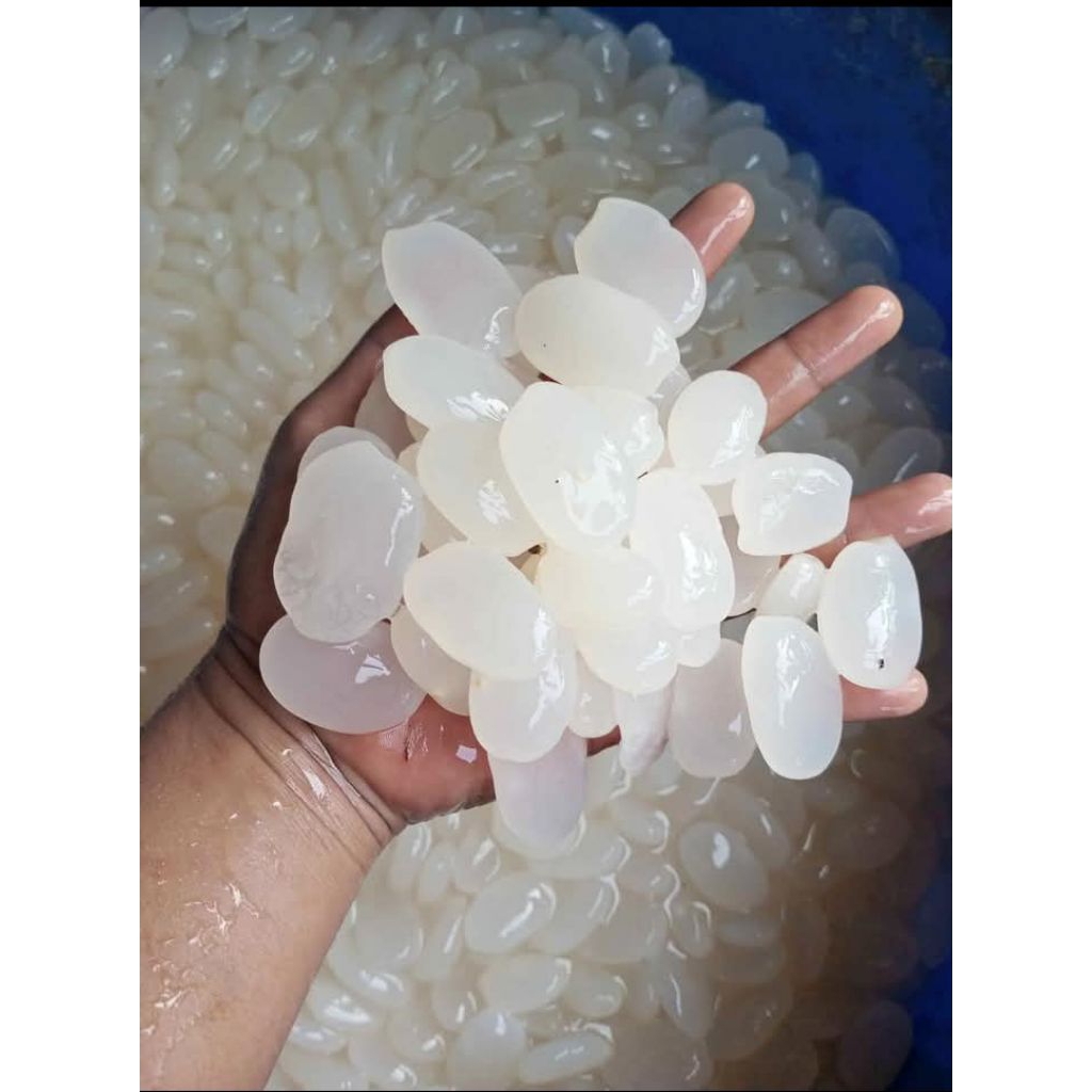 

kolang Kaling super fres dan segar termurah 1kg