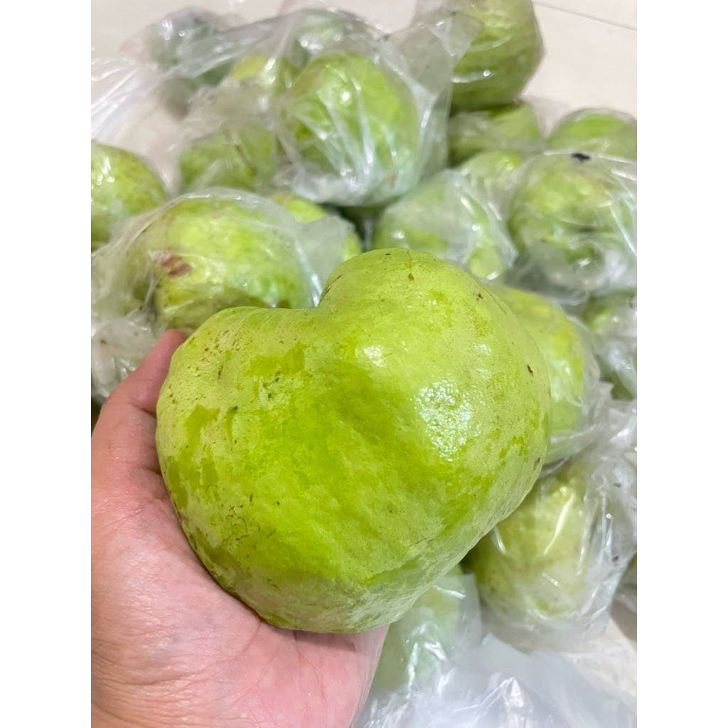Jambu Kristal Merah 1 Kg