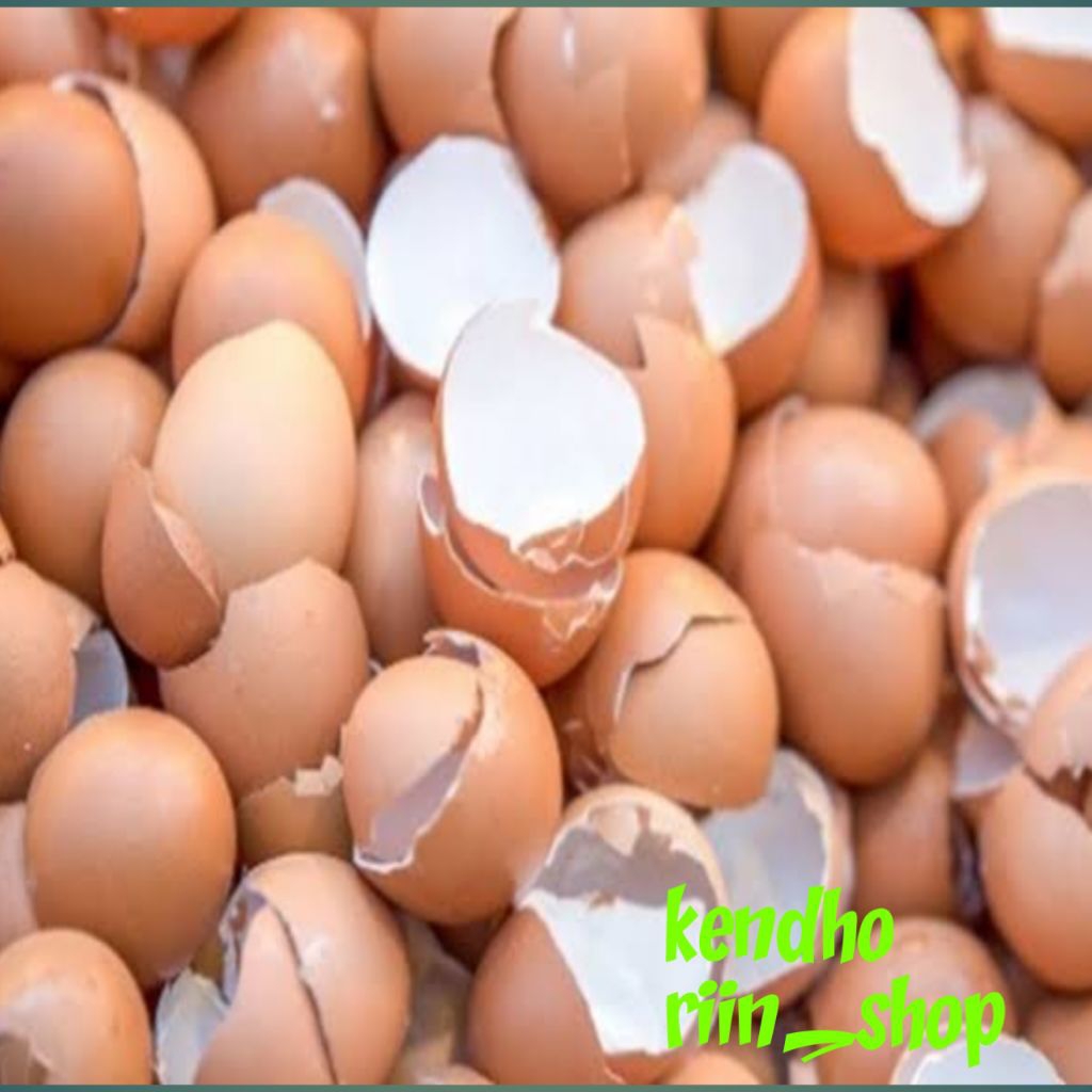 

cangkang kulit telur