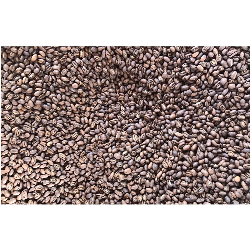 

Kopi Arabica Gayo