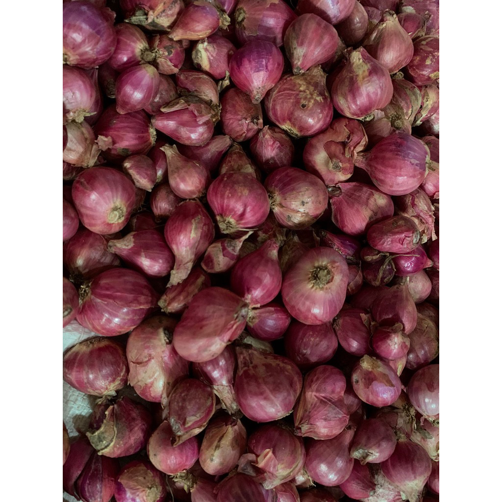 

Bawangmerah 1 kg besar mix sedang