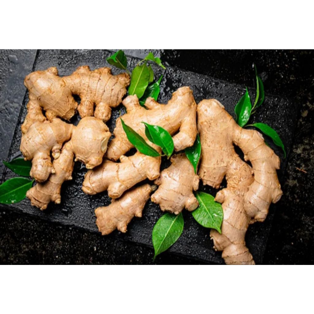 

jahe gajah rimpang tersedia varian hemat dompet di harga 10 ribuan bisa dapat jahe yang super besar./500gram