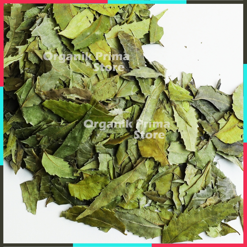 

Daun Mimba Kering 250gr Asli Bersih dan Organik