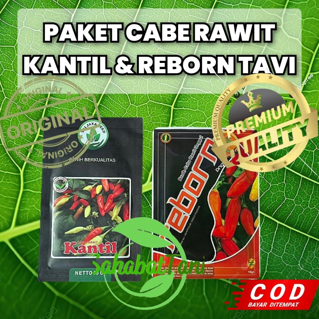 

PAKET CABE RAWIT KANTIL (1) &REBORN TAVI (1) cabe rawit tipe ori dan berbuah lebat tahan virus ,cabe berbobot keras dan padat otomatis lama daya simpan nya.