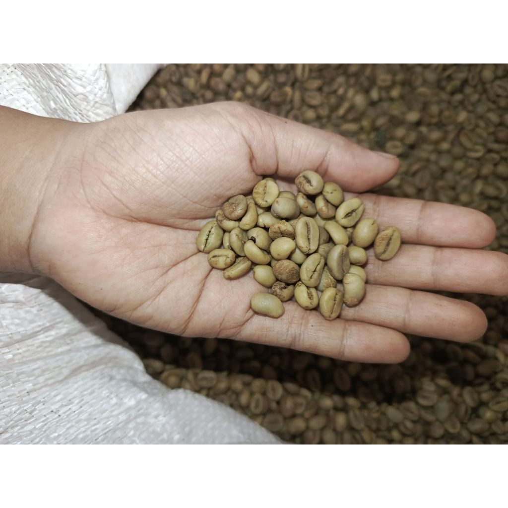 

biji kopi robusta kering asli tua 1kg/ 500gram