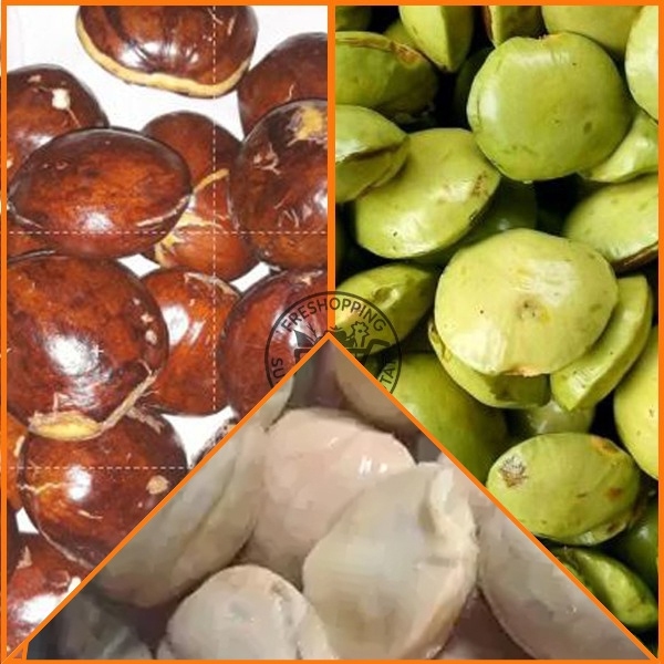 

Jengkol , jengkol rebus, jengkol muda 250gr