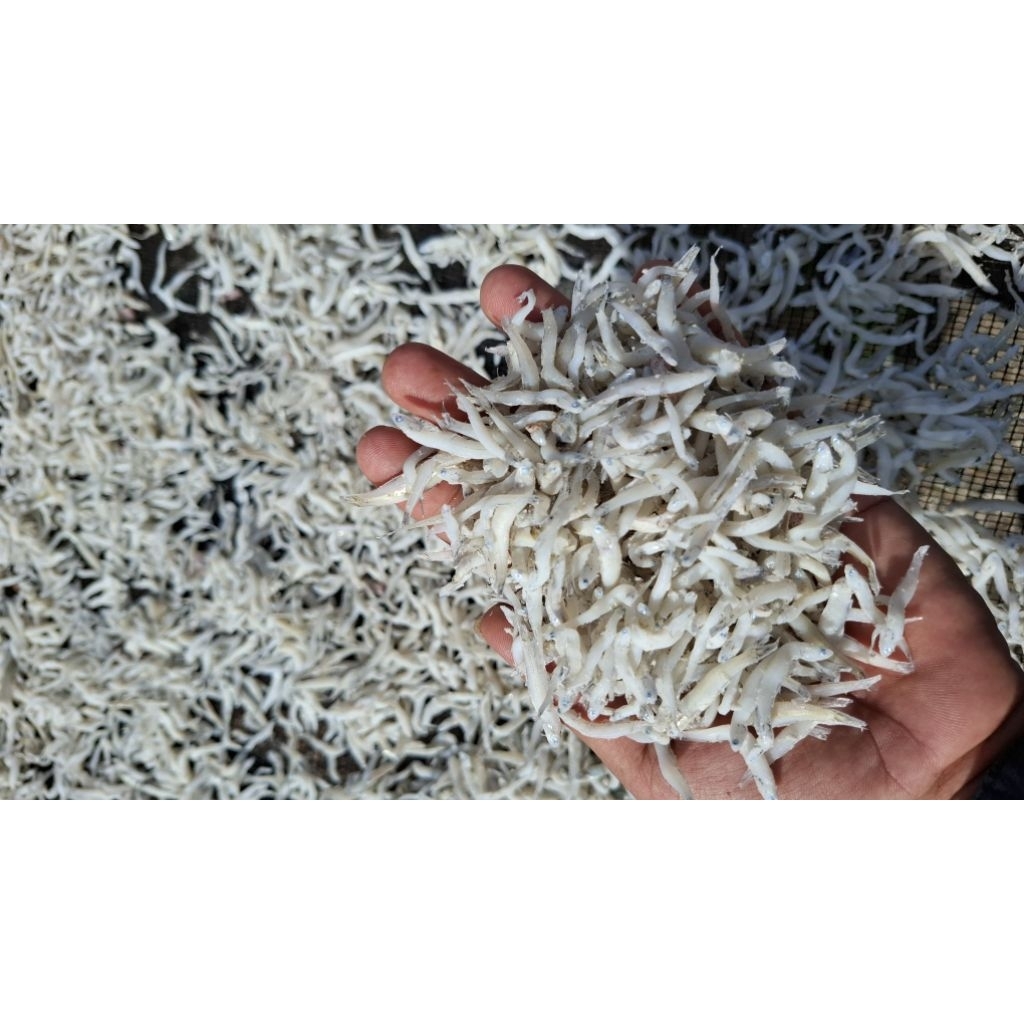 

Teri Nasi Premium / Teri rebus kering / Teri nasi medan 1000gr/1Kg