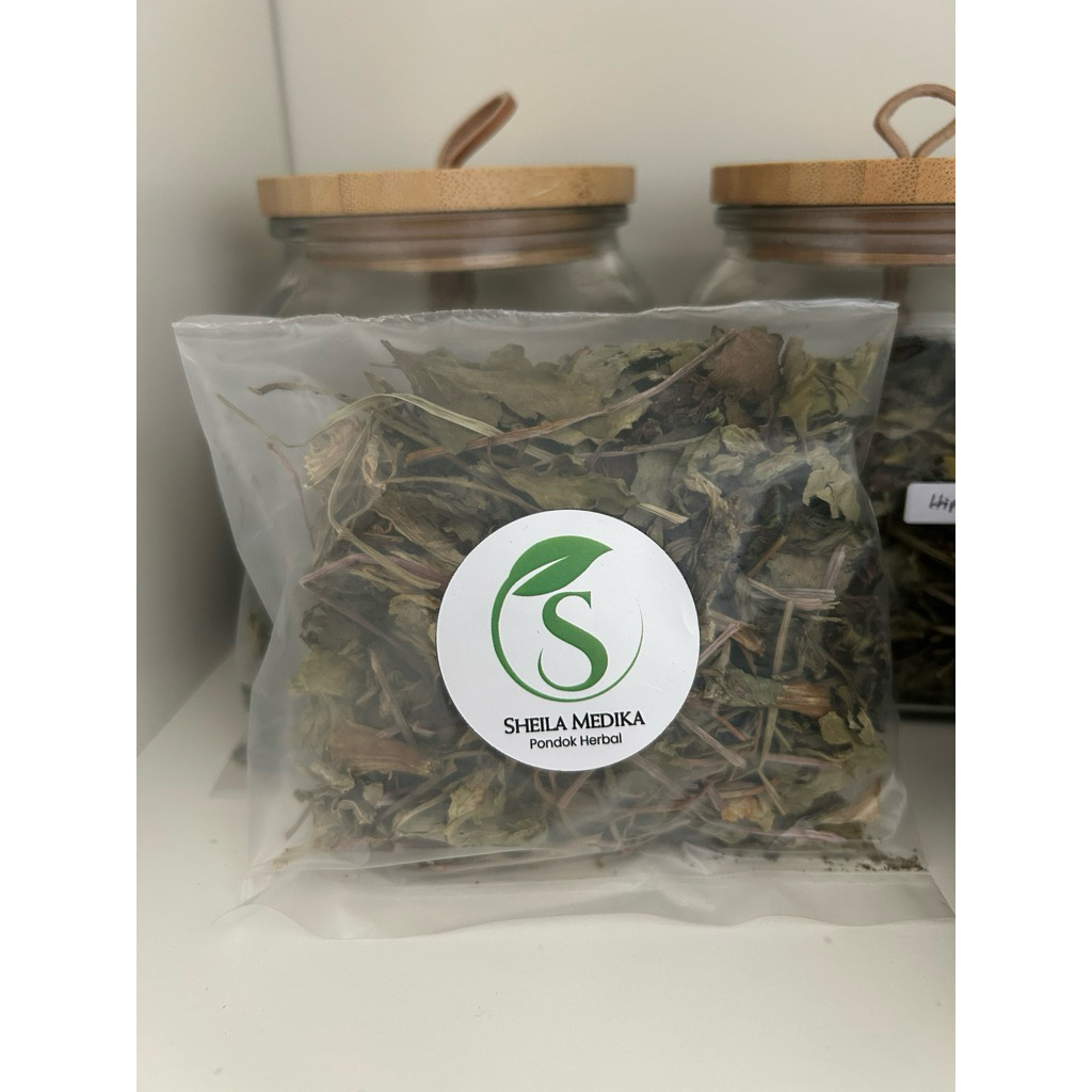 

Jamu/Jampi Antihipertensi by Sheila Medika