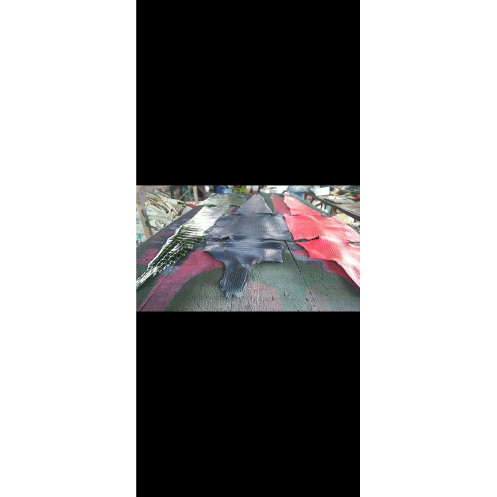 Kulit Buaya Lembaran Asli