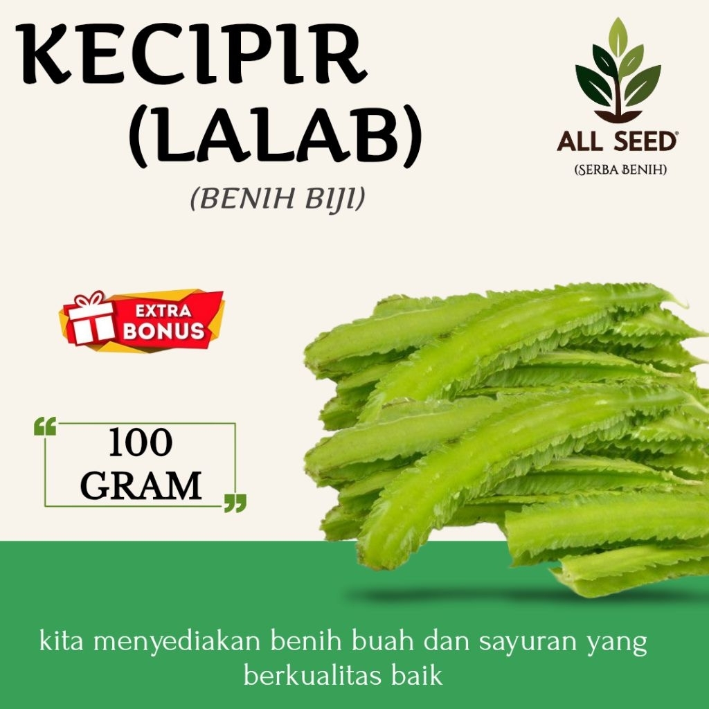 ( 100 gram ) Benih kecipir | bibit biji kecipir lalap | bibit botor